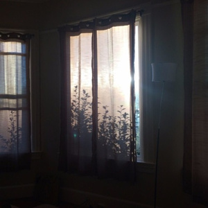 暴躁女人特黄大片
